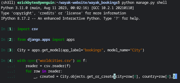 running Python in the Django shell